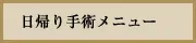 日帰り手術メニュー